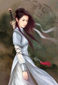 战尊傲婿